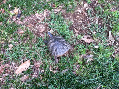 �̿� 2013-06-22 18 00 32