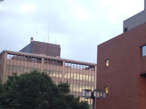 ���Ļ����ʸ��ĻԵĲ�ľ��