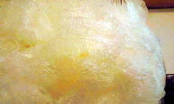 ŷ��ɹ�Τ���ɹ������ޤ��������̶载��Ź����