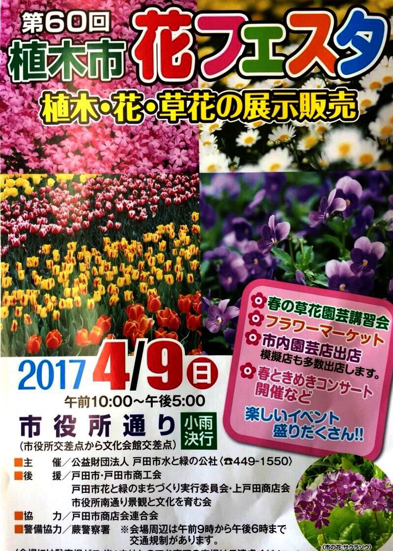 次の日曜日は 戸田植木市花フェスタ17 市役所1階入口に出番を待つフラワーツリーがあります 戸田市に住むと楽しいな 次の日曜日は 戸田植木市花フェスタ17 市役所1階入口に出番を待つフラワーツリーがあります 戸田市に住むと楽しいな