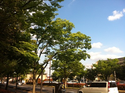 写真 2013-05-03 16 32 53