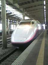 ��ۿ�����MAX