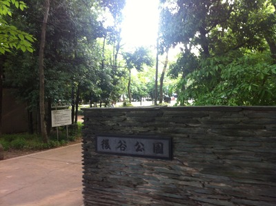 写真 2013-05-03 16 27 50
