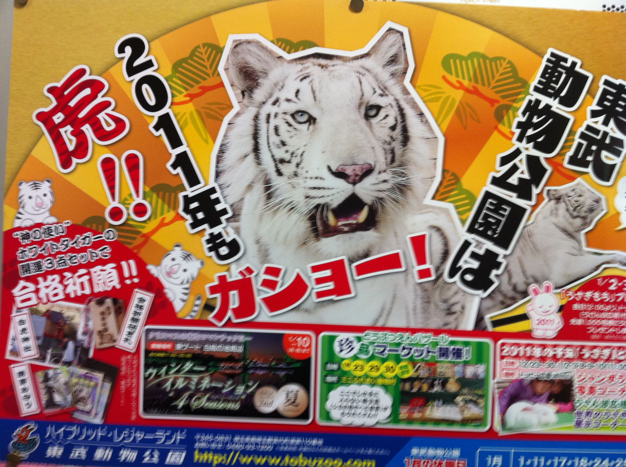番外編 東武動物公園は 11年も 虎 戸田市に住むと楽しいな 番外編 東武動物公園は 11年も 虎 戸田市に住むと楽しいな