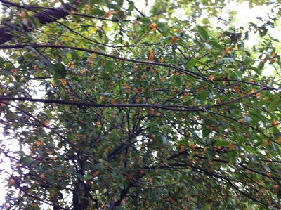 ̿ 2013-10-05 13 27 22