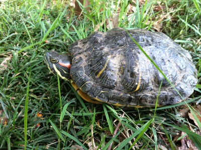 �̿� 2013-06-22 17 59 50