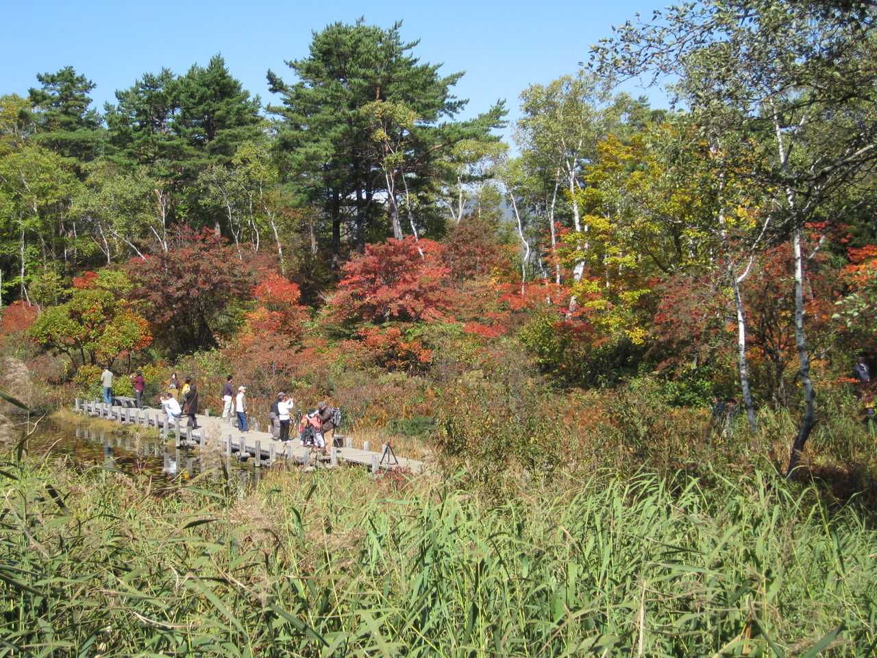 しゃきしゃき蓮根ポテトサラダ きたはまっちょの備忘録