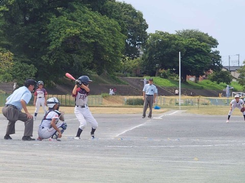 Compress_20250814_100354_4565