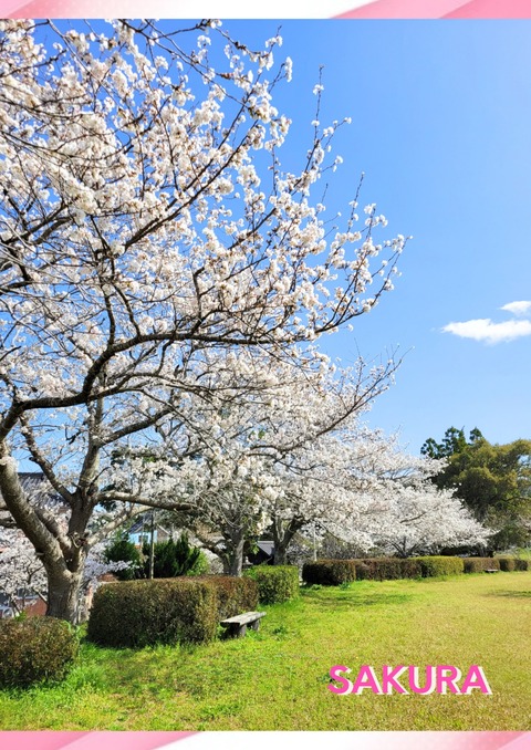 InShot_20250330_103641812