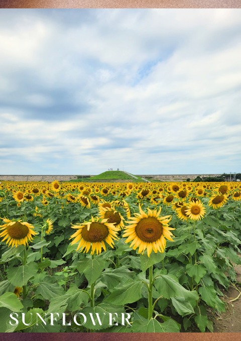 InShot_20250928_165327038