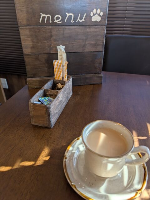 PXL_20251017_052817261