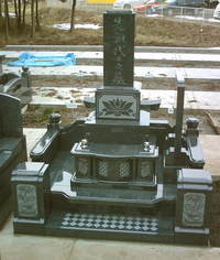 �̵���T����