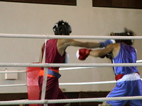 �ܥ�����