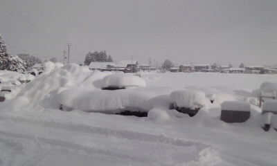 雪