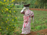 ����ɤ�����