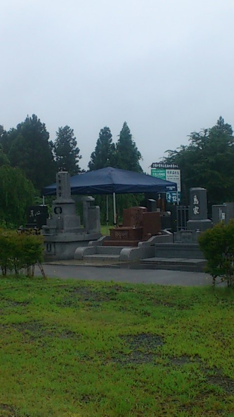 ce71f013.jpg