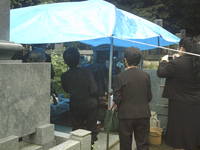 雨