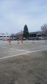 ファイナルカップ1