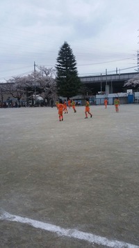 ファイナルカップ2