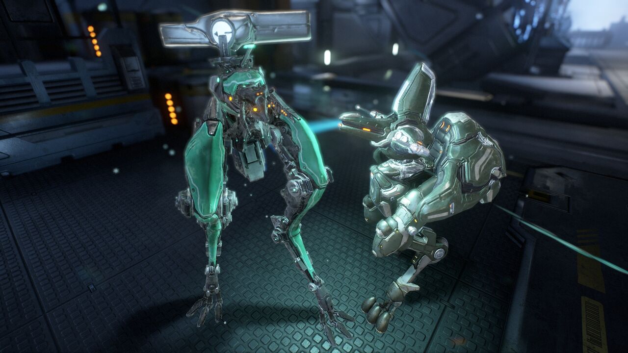 はじめてのモア 北見探訪