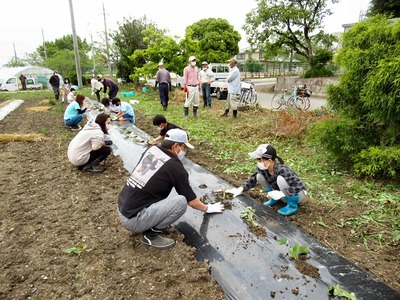 �դ줢�����ĥޥ�������