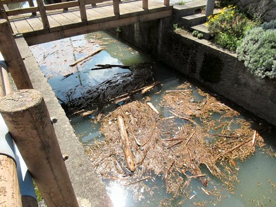橋の下