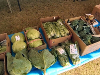 品評会軟弱野菜