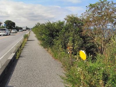 湖岸道路の危険な歩道