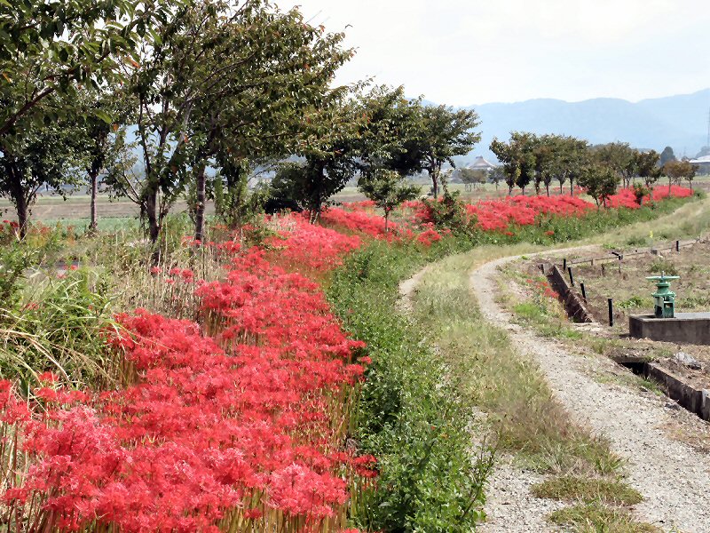 北村きよたかの活動記録 まちづくり委員会