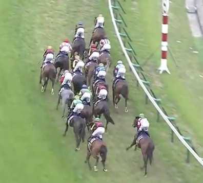 ドゥラメンテなど皐月賞上位馬の走りとキンカメ サンデー 南関東競馬と中央競馬で年間365日予想を目指したい ドゥラメンテなど皐月賞上位馬の走りとキンカメ サンデー 南関東競馬と中央競馬で年間365日予想を目指したい