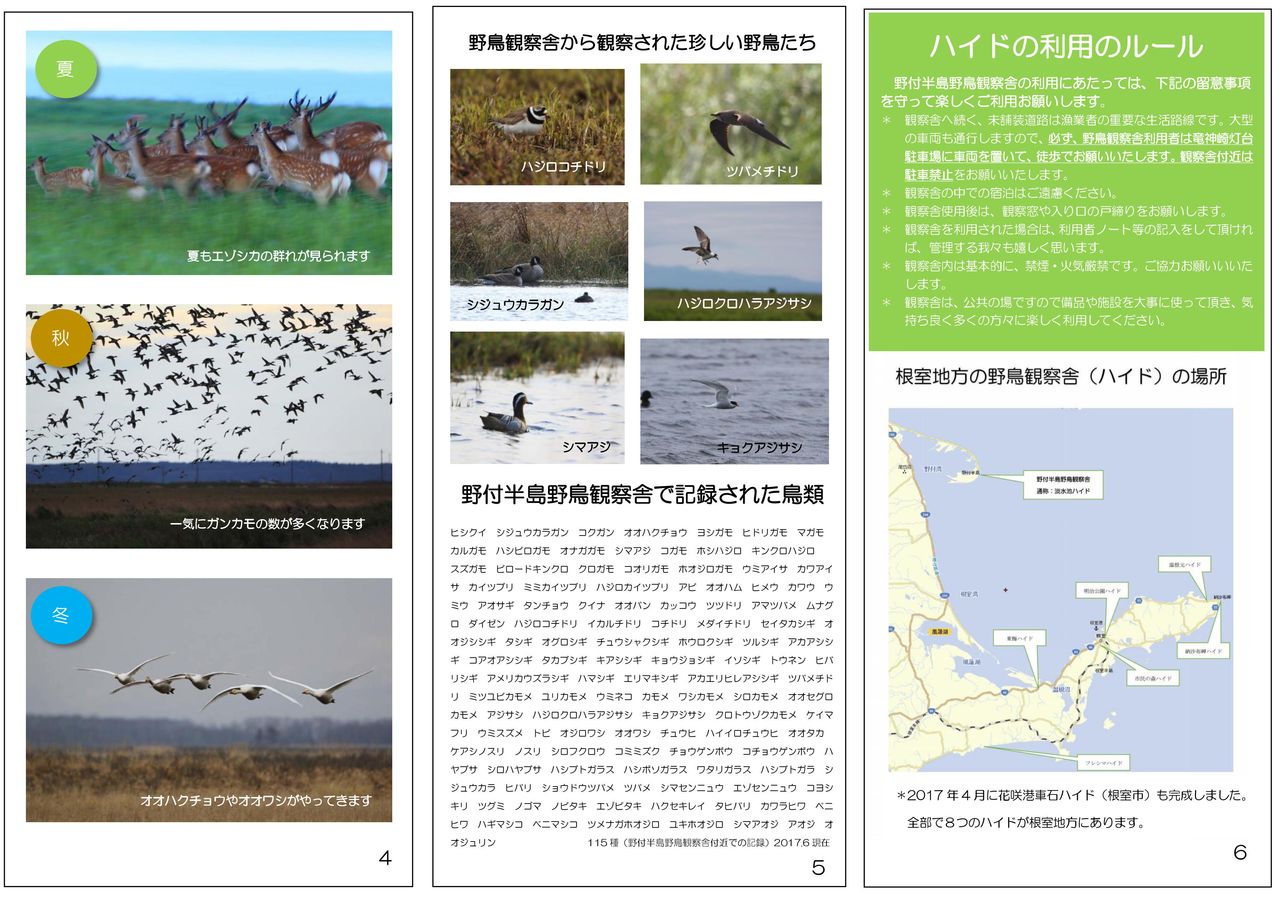 ハイドロップピークのリーフレット