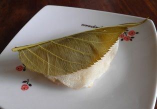 花見酒14