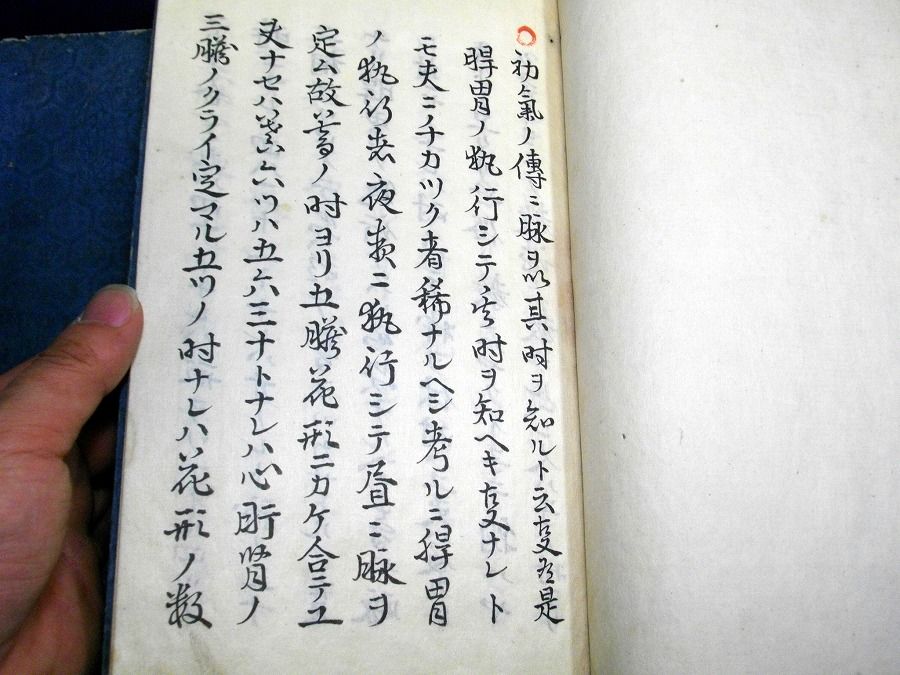 イメージ 3