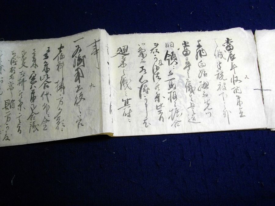 イメージ 3