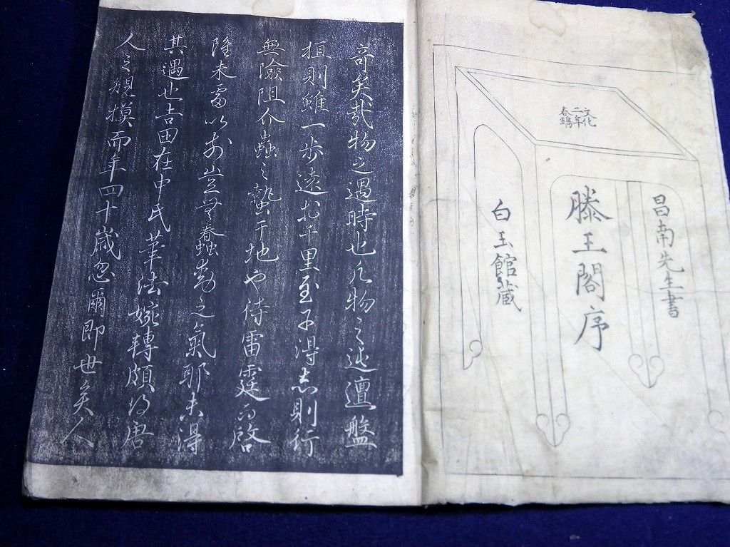 イメージ 2