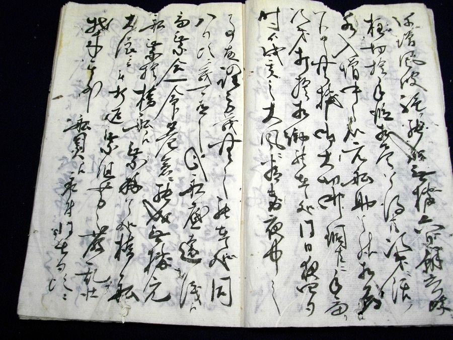 イメージ 3