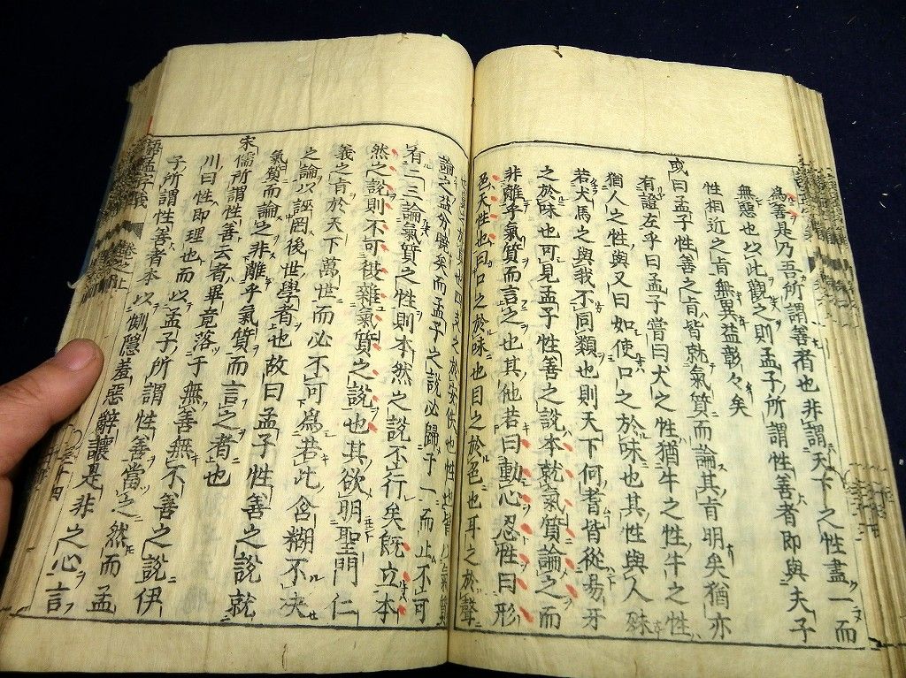 イメージ 5