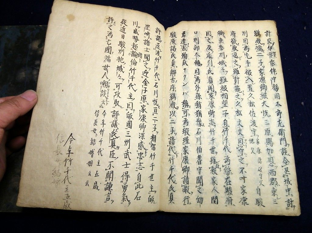 イメージ 7