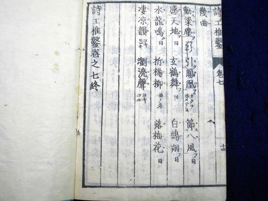 イメージ 5
