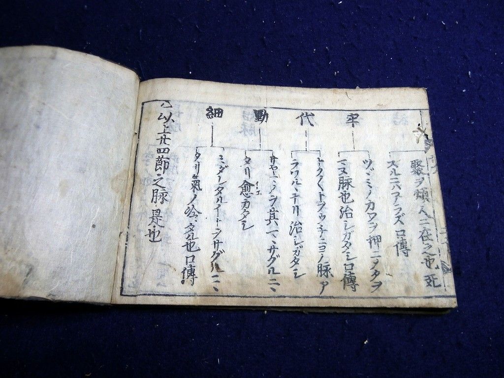 イメージ 12
