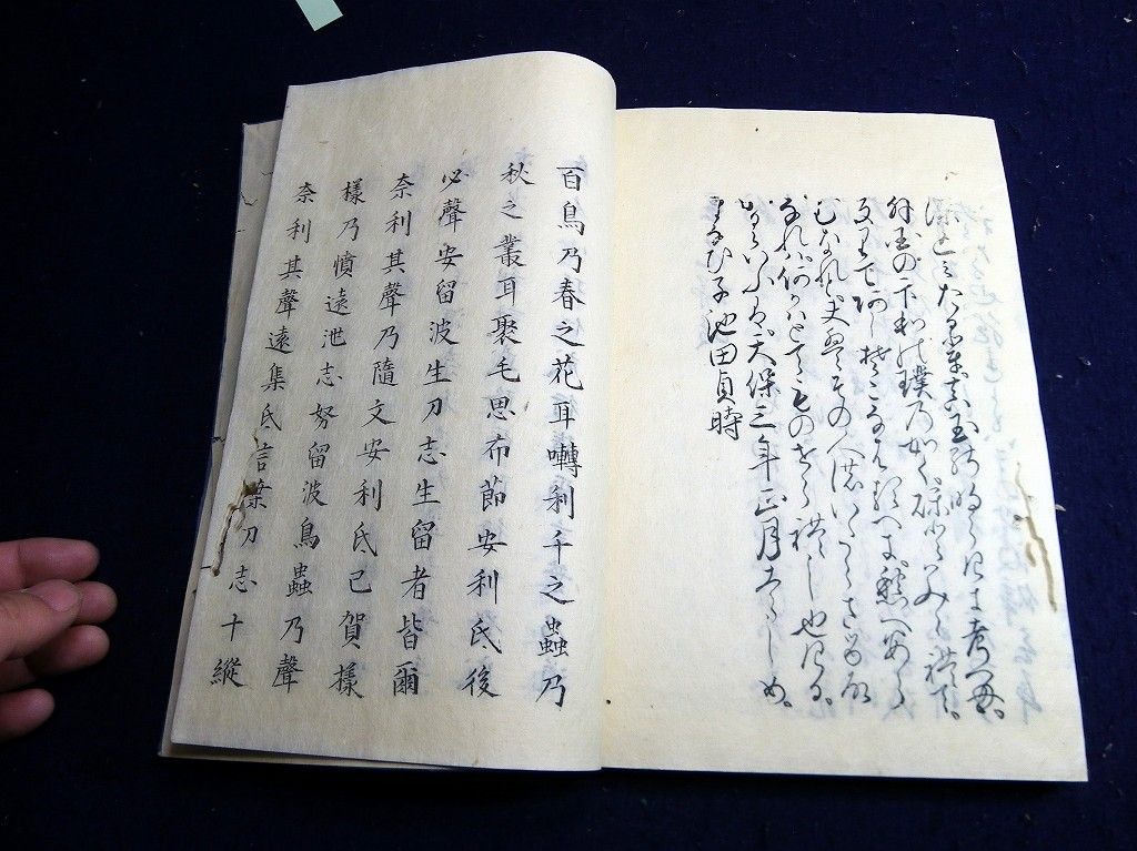 イメージ 8