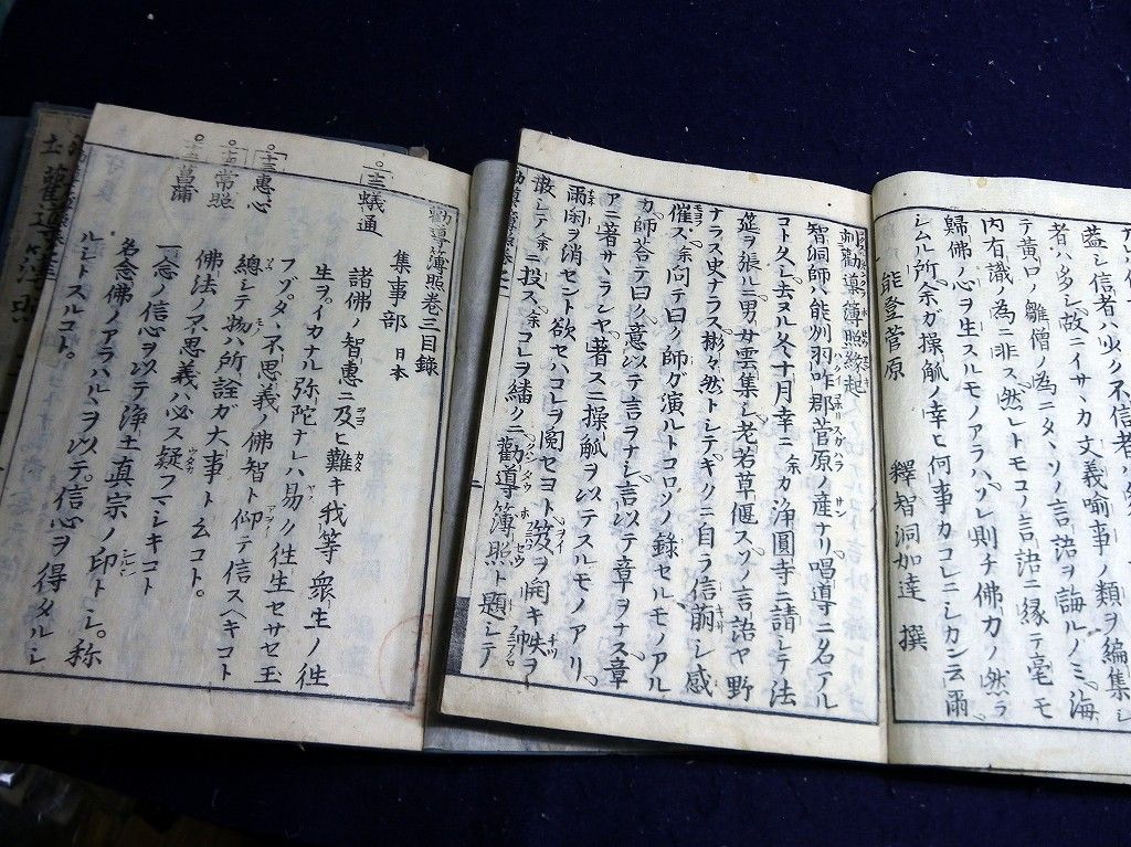 イメージ 2