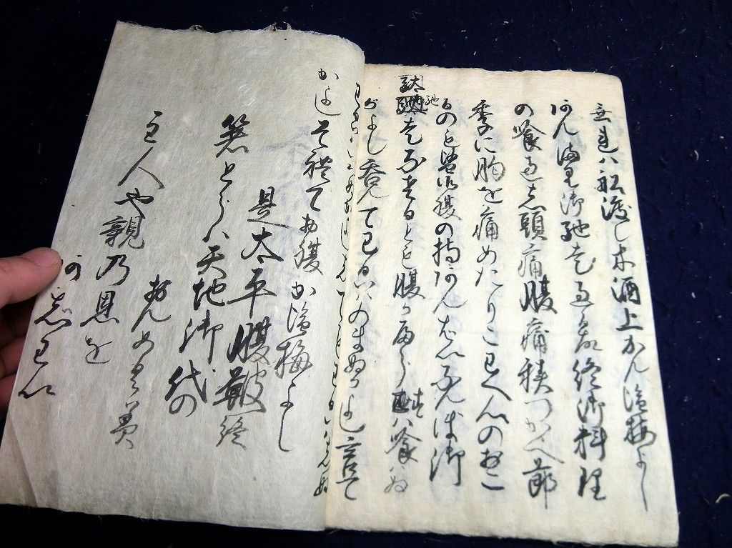 イメージ 7