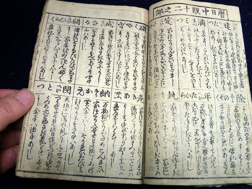 イメージ 5