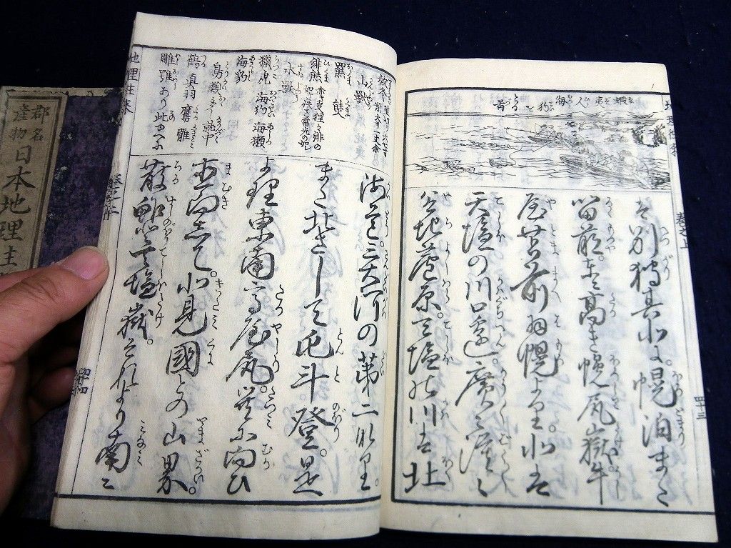 イメージ 6