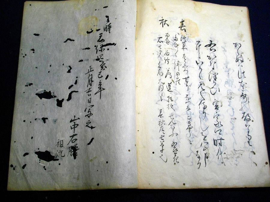 イメージ 8