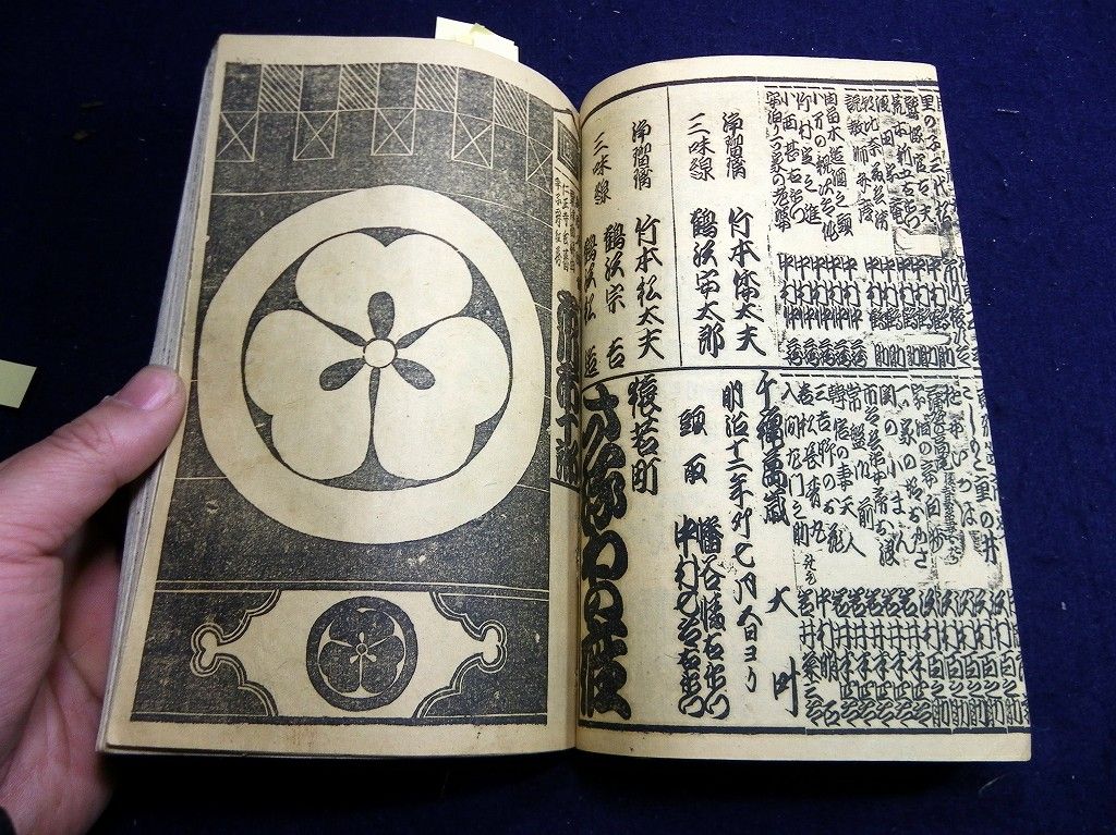 イメージ 6