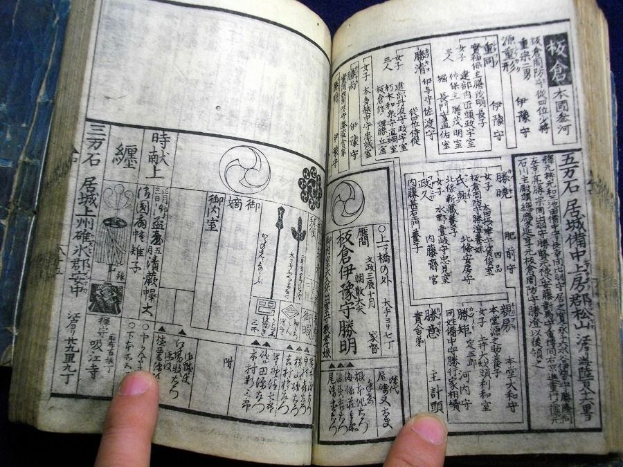 イメージ 5