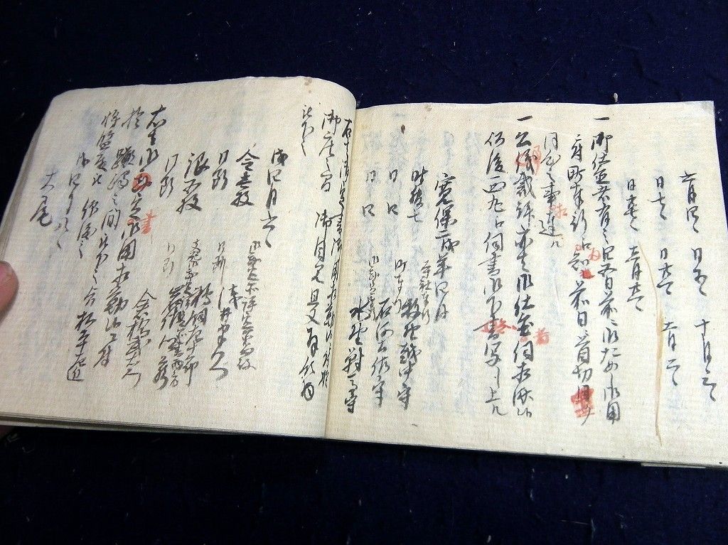 イメージ 8