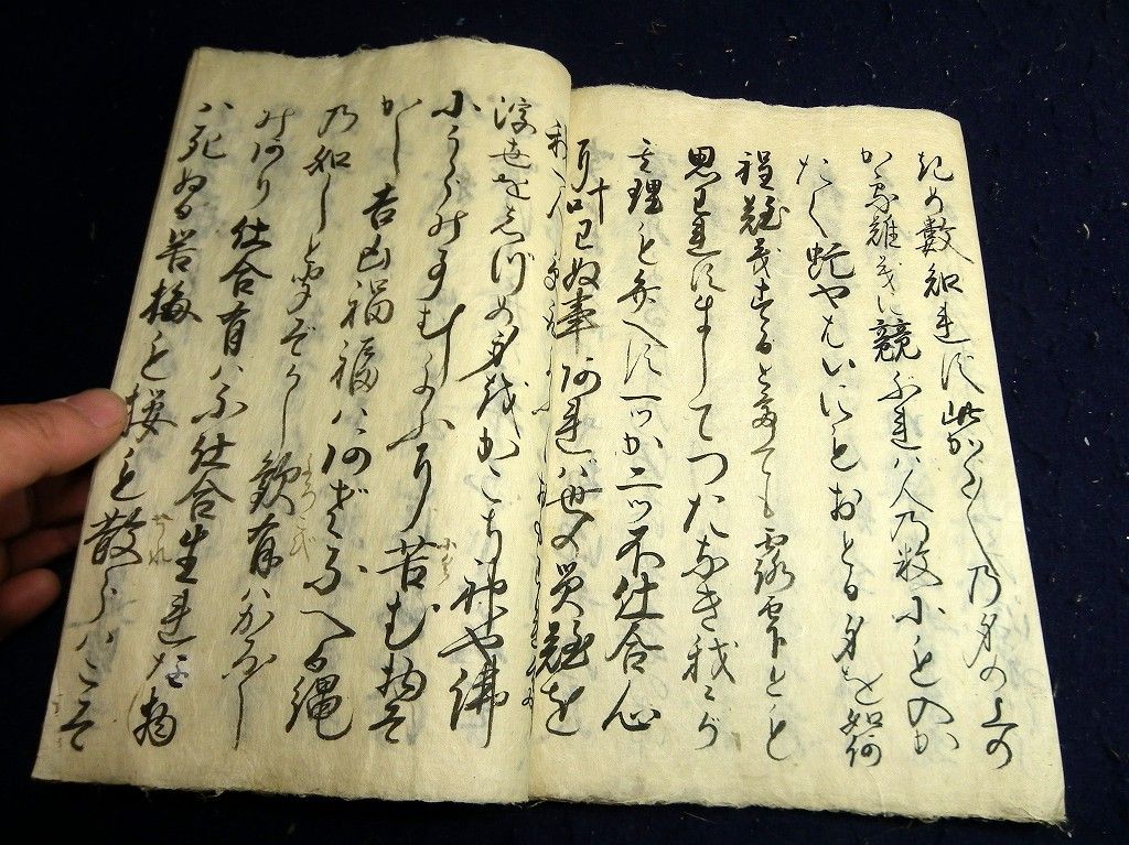イメージ 5